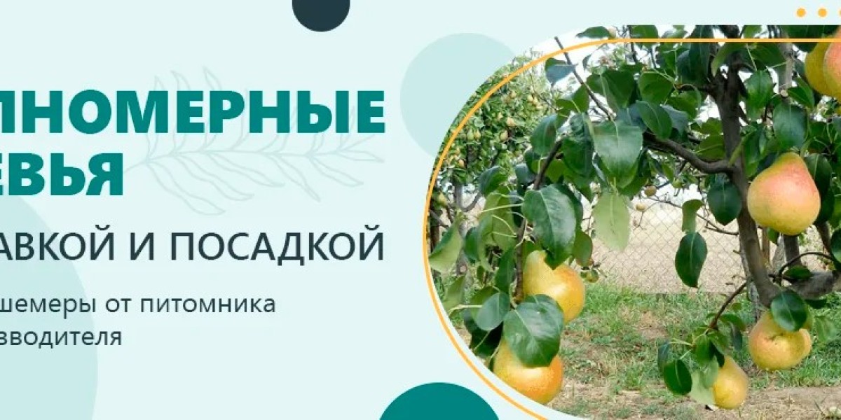 Цветы для вашего сада: ассортимент интернет-магазина